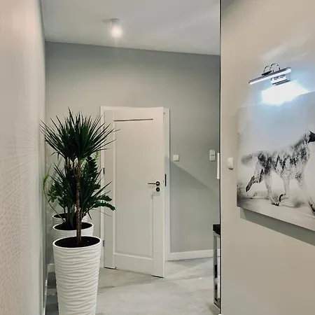 Zlota Luxury